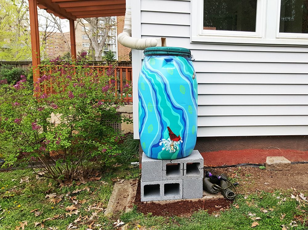 a rain barrel after installation